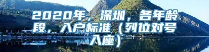 2020年，深圳，各年龄段，入户标准（列位对号入座）