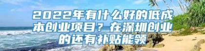 2022年有什么好的低成本创业项目？在深圳创业的还有补贴能领