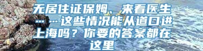 无居住证保姆、来看医生……这些情况能从道口进上海吗？你要的答案都在这里