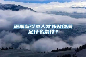 深圳新引进人才补贴须满足什么条件？