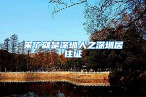 来了就是深圳人之深圳居住证