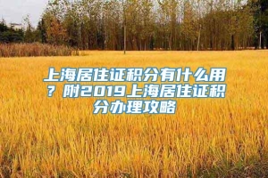 上海居住证积分有什么用？附2019上海居住证积分办理攻略