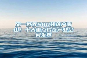 又一世界500强落户南山！十大重点片区产业空间发布