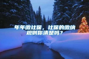 年年缴社保，社保的缴纳规则你清楚吗？