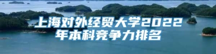 上海对外经贸大学2022年本科竞争力排名