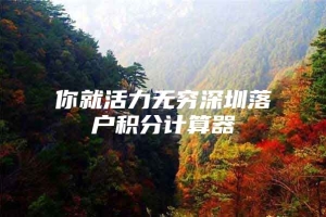 你就活力无穷深圳落户积分计算器