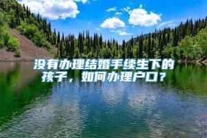 没有办理结婚手续生下的孩子，如何办理户口？