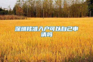 深圳核准入户可以自己申请吗