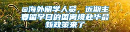 @海外留学人员，近期主要留学目的国离境赴华最新政策来了