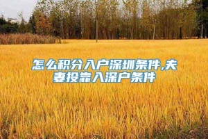 怎么积分入户深圳条件,夫妻投靠入深户条件