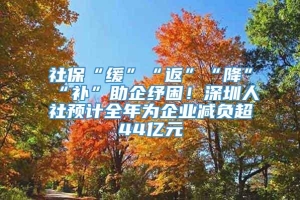 社保“缓”“返”“降”“补”助企纾困！深圳人社预计全年为企业减负超44亿元