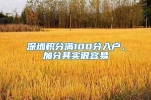 深圳积分满100分入户，加分其实很容易