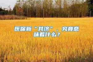 医保新“共济”，究竟意味着什么？