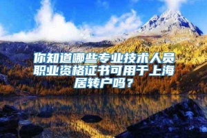 你知道哪些专业技术人员职业资格证书可用于上海居转户吗？