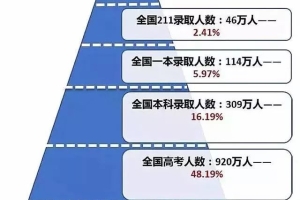 是什么给了我本科生遍地走、只考上本科就是没有用的错觉？