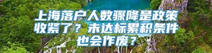 上海落户人数骤降是政策收紧了？未达标累积条件也会作废？