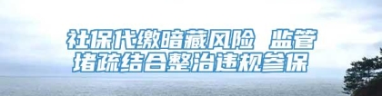 社保代缴暗藏风险 监管堵疏结合整治违规参保