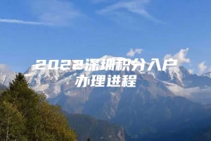 2022深圳积分入户办理进程