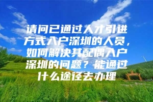 请问已通过人才引进方式入户深圳的人员，如何解决其配偶入户深圳的问题？能通过什么途径去办理