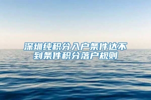 深圳纯积分入户条件达不到条件积分落户规则