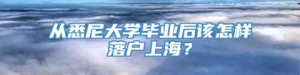 从悉尼大学毕业后该怎样落户上海？