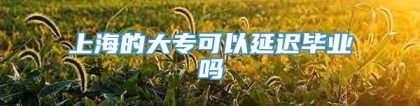 上海的大专可以延迟毕业吗