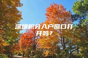 深圳积分入户窗口打开吗？