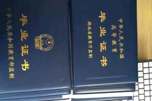继上海优秀的学校学生的录取要求需要父母的学历达到本科学历之后