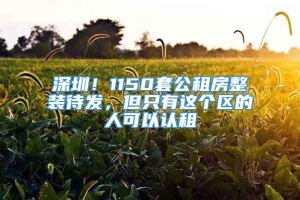 深圳！1150套公租房整装待发，但只有这个区的人可以认租