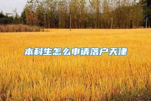 本科生怎么申请落户天津