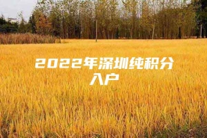 2022年深圳纯积分入户