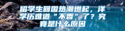 留学生回国热潮燃起，洋学历难道“不香”了？究竟是什么原因