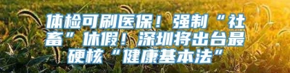 体检可刷医保！强制“社畜”休假！深圳将出台最硬核“健康基本法”