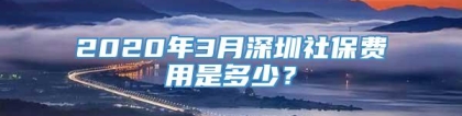 2020年3月深圳社保费用是多少？