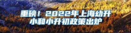 重磅！2022年上海幼升小和小升初政策出炉