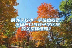 民办学校小一学位也吃紧, 深圳户口与孩子学区房的关系你懂吗？