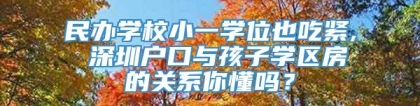 民办学校小一学位也吃紧, 深圳户口与孩子学区房的关系你懂吗？