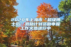 2020年上海市“超级博士后”激励计划资助申报工作火热进行中