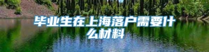 毕业生在上海落户需要什么材料