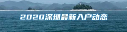 2020深圳最新入户动态