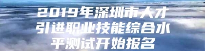 2019年深圳市人才引进职业技能综合水平测试开始报名