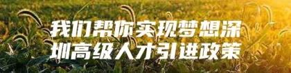 我们帮你实现梦想深圳高级人才引进政策