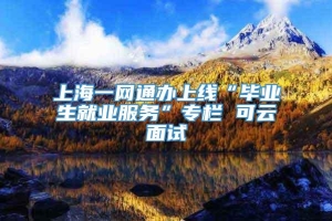 上海一网通办上线“毕业生就业服务”专栏 可云面试