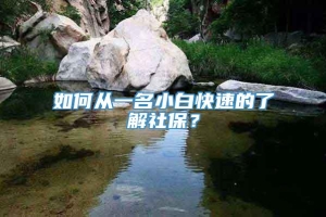 如何从一名小白快速的了解社保？