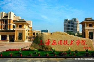 上海应用技术大学，在上海市本科高校中，属于怎么样的学校？