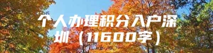 个人办理积分入户深圳（11600字）