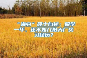 “海归”硕士自述：留学一年，还不如几份大厂实习经历？