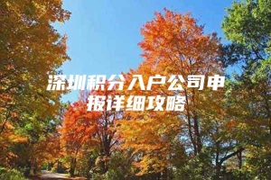 深圳积分入户公司申报详细攻略