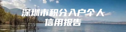 深圳市积分入户个人信用报告