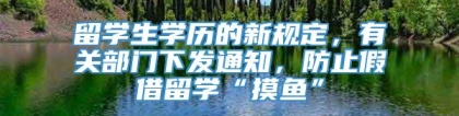 留学生学历的新规定，有关部门下发通知，防止假借留学“摸鱼”